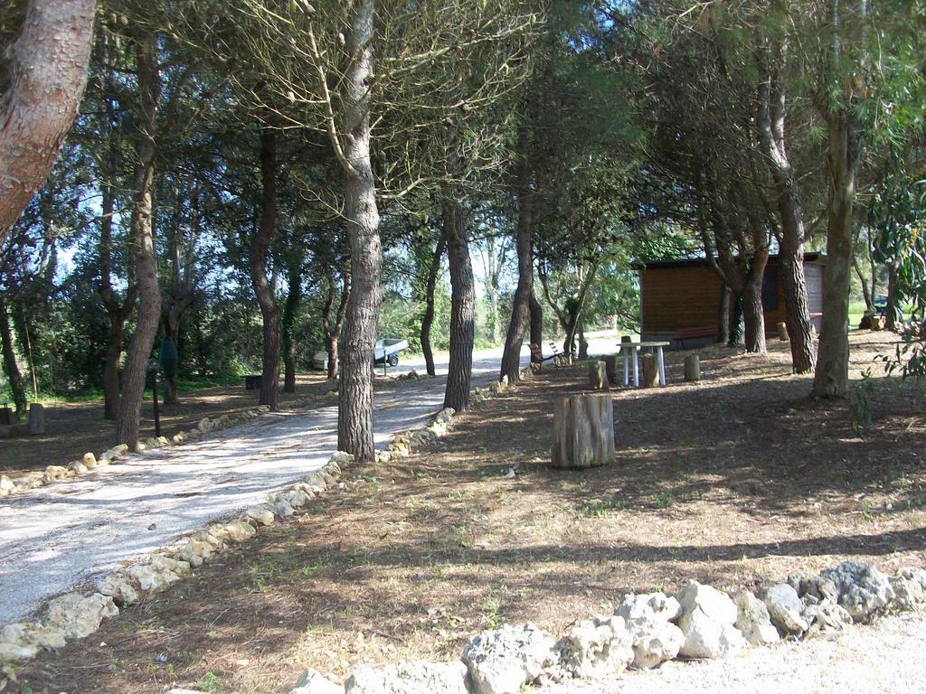Appartamenti Turistici Aprile Antonio Luigi Borgagne Zewnętrze zdjęcie
