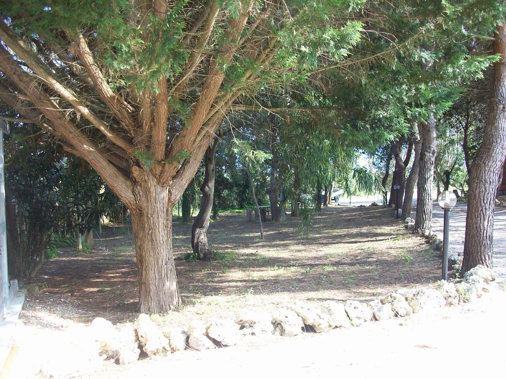 Appartamenti Turistici Aprile Antonio Luigi Borgagne Zewnętrze zdjęcie